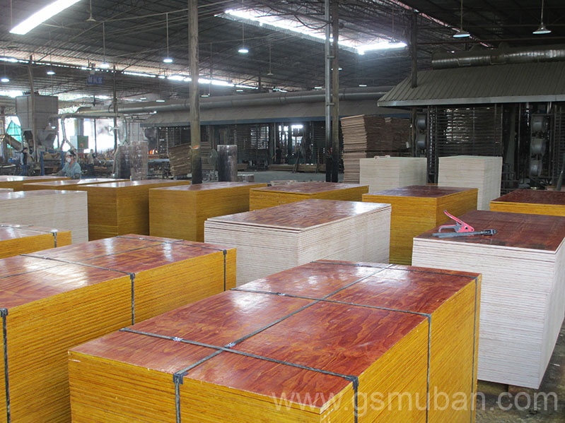 2025年建筑木模板行業新趨勢！