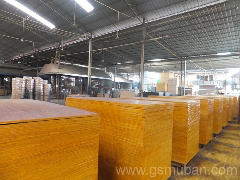 什么是桉木模板？廣西模板廠家推薦